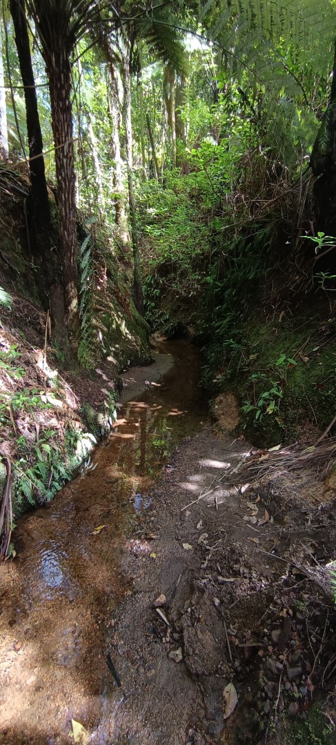 Paddleboarding at Finlay Park Adventure Camp