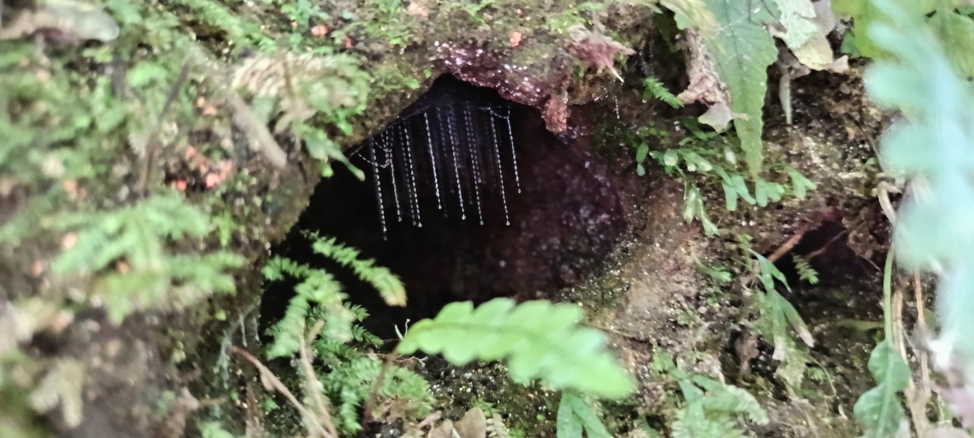 Paddleboarding at Finlay Park Adventure Camp